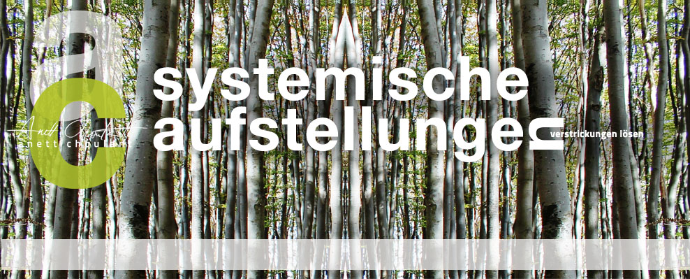 lebensberatungnaturheilpraxissystemische-aufstellungen